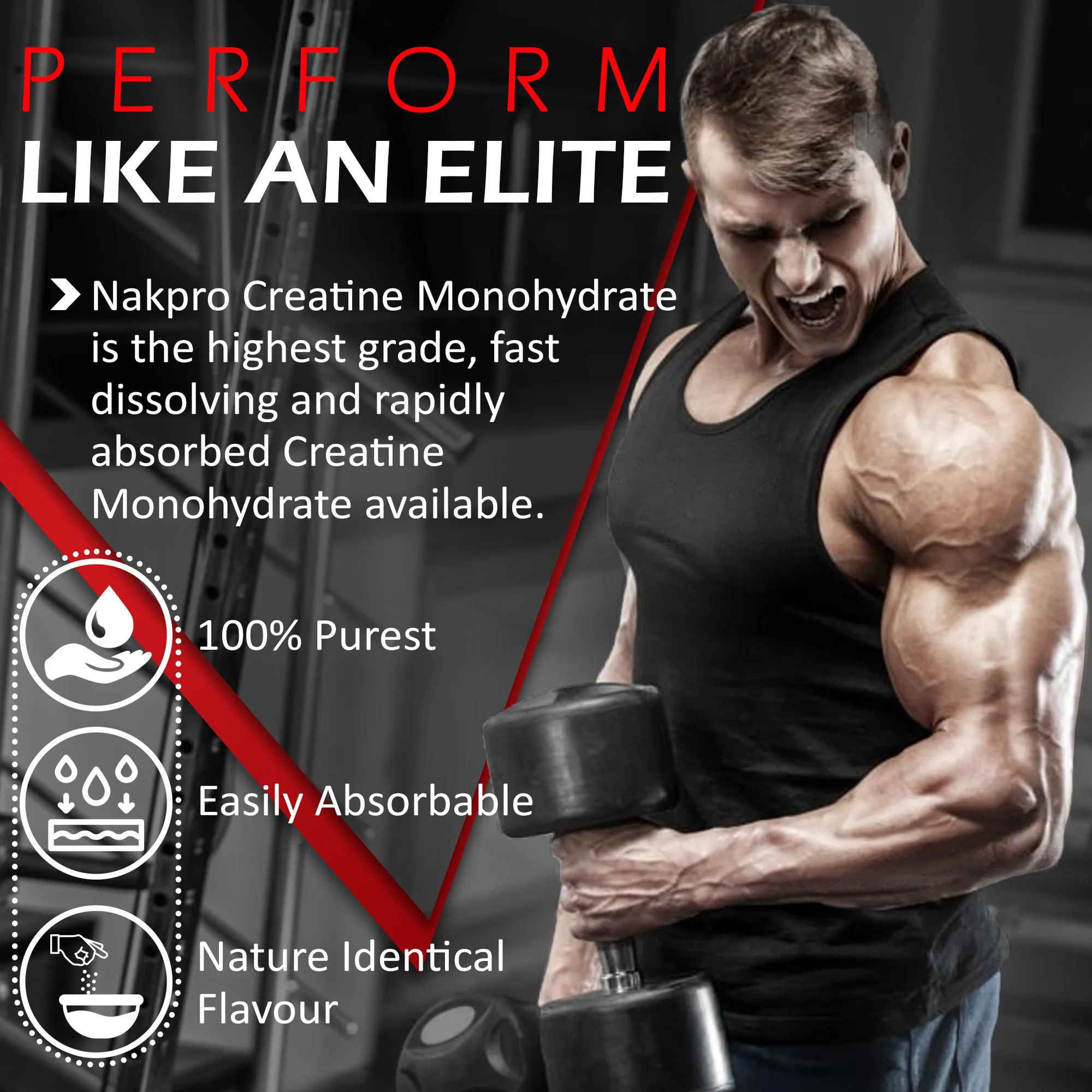 Nakpro Micronized Creatine Monohydrate | Maintenance and Support muscle | Trustified Certified - Image 41