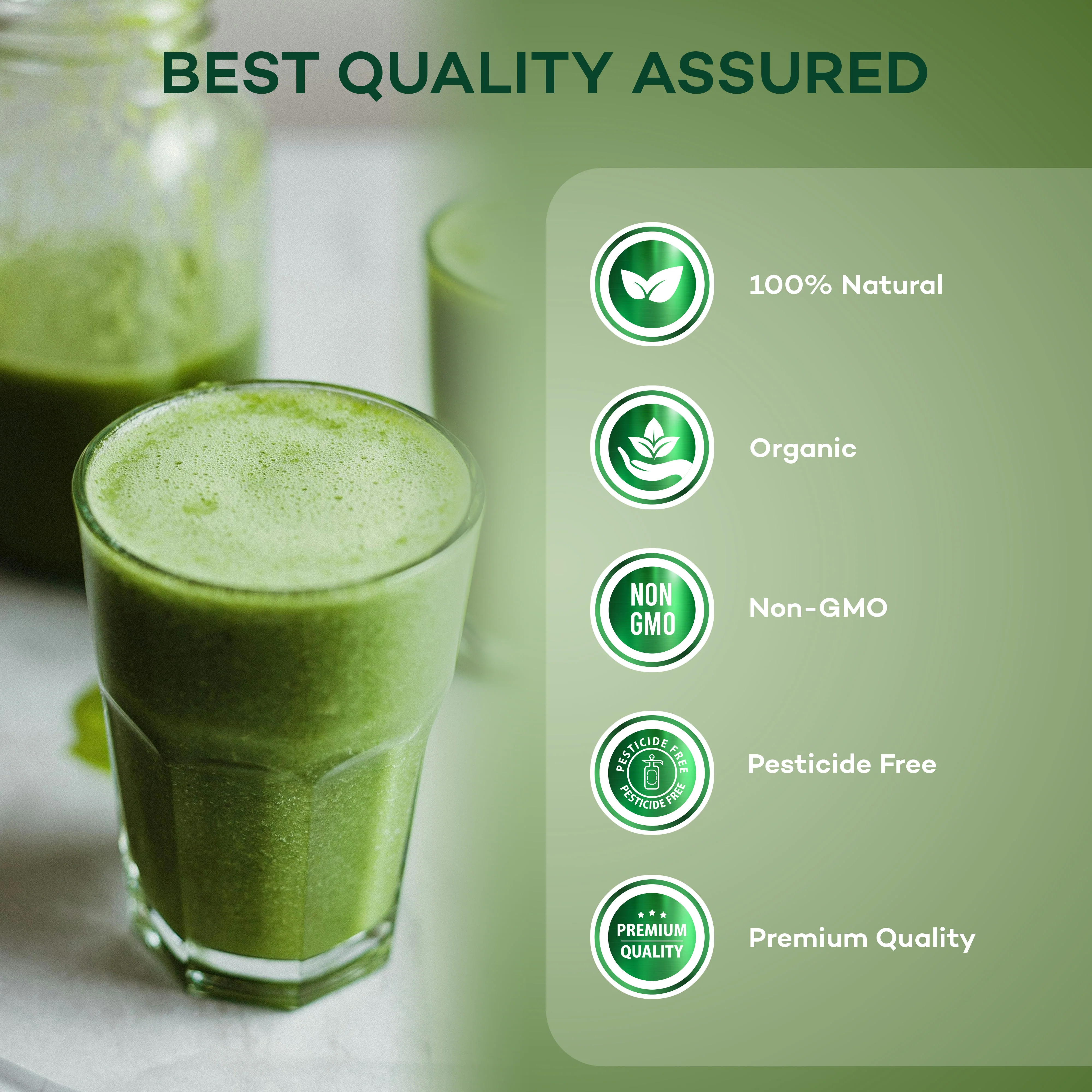 Nakpro 100% Organic Moringa Leaf Powder | Anti-Inflammatory | Supports Immunity & Detoxification - Image 4