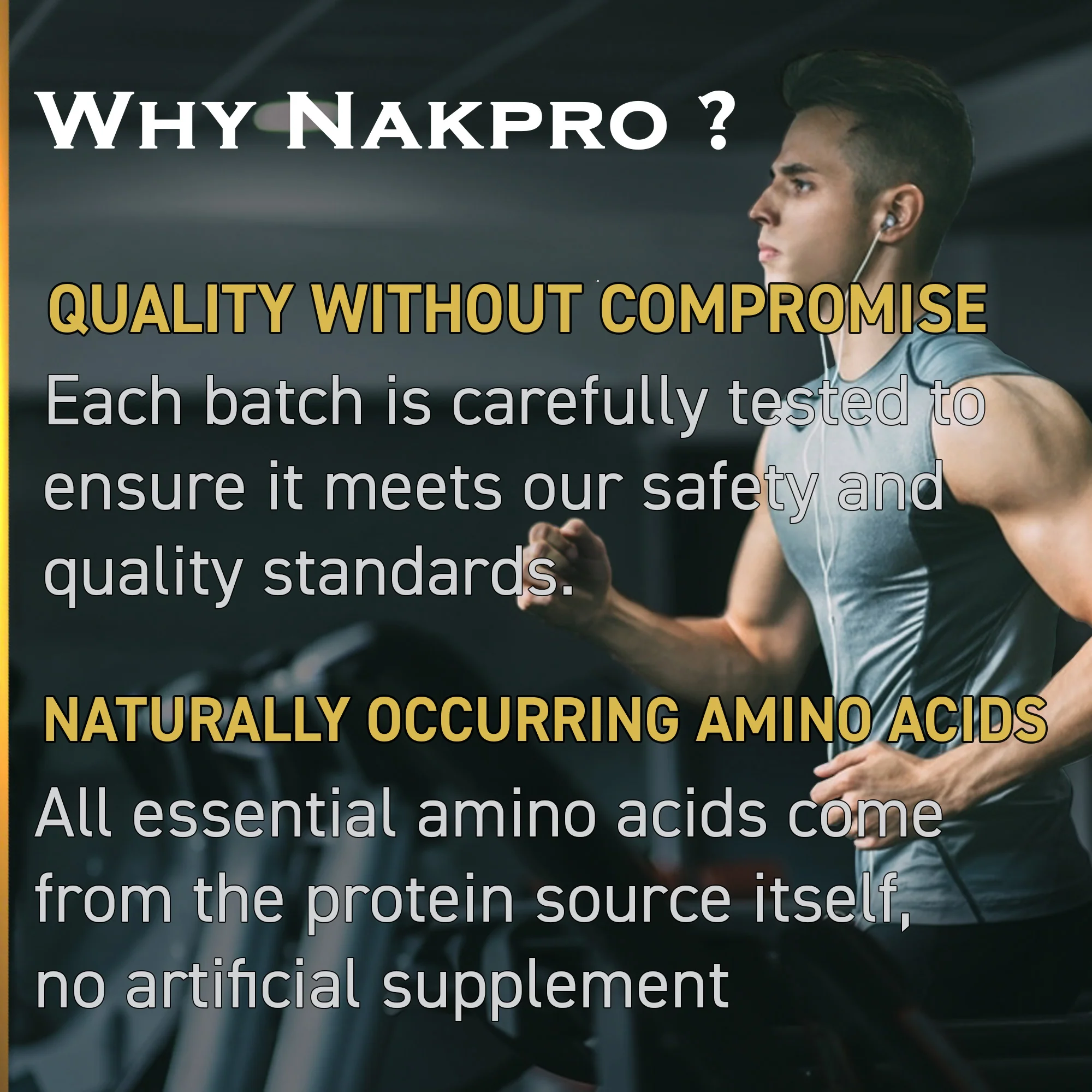Nakpro Whey Gold Whey Protein Blend | 73g Protein | Whey Isolate & Concentrate Blend - Image 96